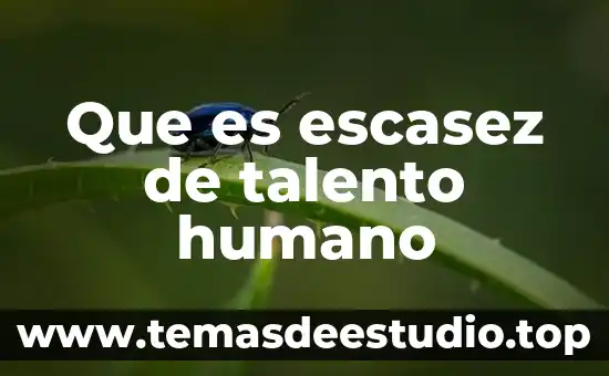 Que es la escasez de recursos en economia 5 Que es escasez de talento humano