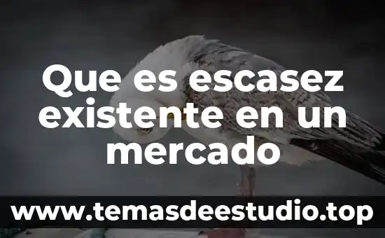 Que es factibilidad de mercado 3 Que es escasez existente en un mercado