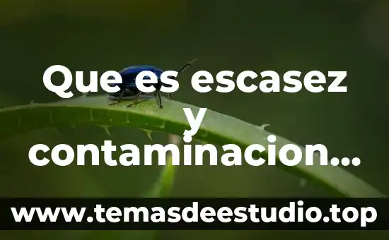 Que es la escasez de recursos en economia 6 Que es escasez y contaminacion del agua