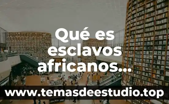 Qué es esclavos africanos definición