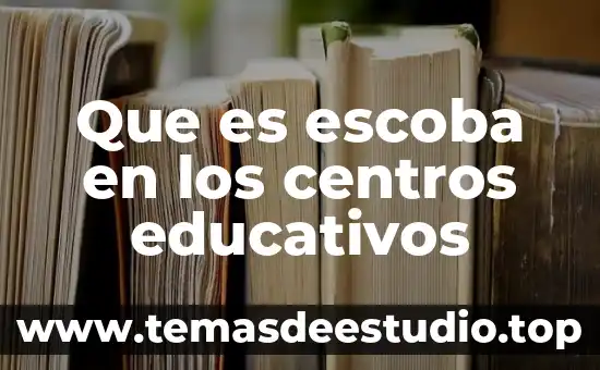 Que es escoba en los centros educativos