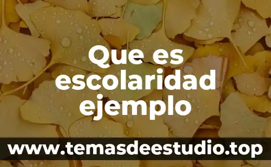 Qué es cultura moderna y ejemplo 6 Que es escolaridad ejemplo