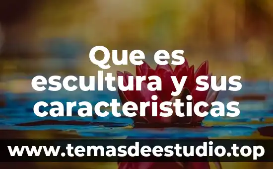 Que es escultura y sus caracteristicas