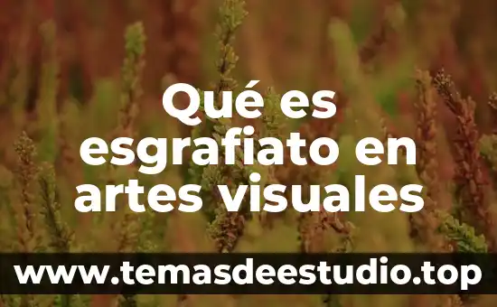 Que es danza con artes visuales 6 Qué es esgrafiato en artes visuales