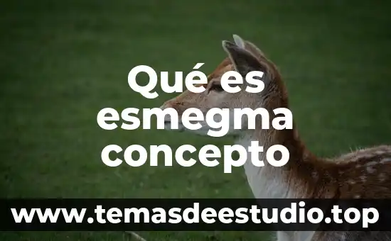 Que es base concepto 3 Qué es esmegma concepto