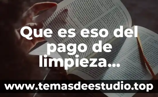 Que es la limpieza en la mineria de datos 3 Que es eso del pago de limpieza torreon
