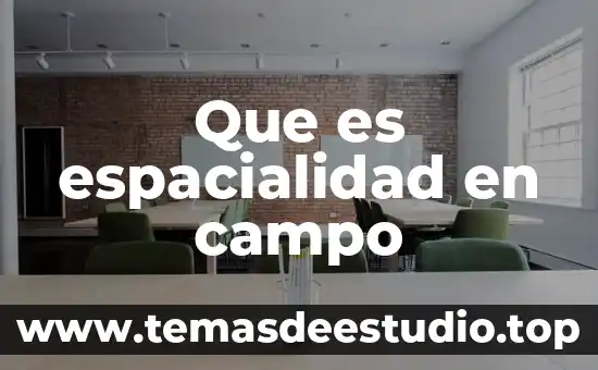 Que es espacialidad en campo