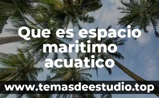 Que es la administracion de transporte maritimo 3 Que es espacio maritimo acuatico