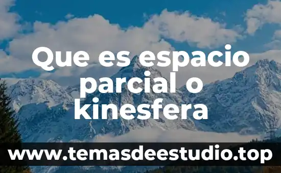Que es un movimiento en transito 7 Que es espacio parcial o kinesfera