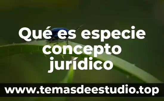 Que es pupilo concepto juridico 4 Qué es especie concepto jurídico