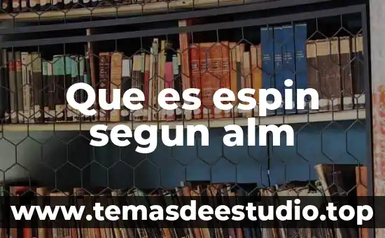 Que es un paradigma segun raul avila 3 Que es espin segun alm