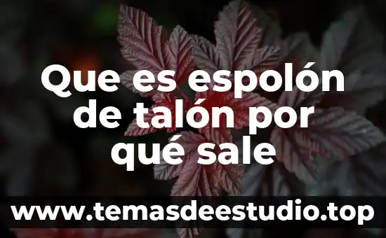 Sila orina sale como grasosa que es 4 Que es espolón de talón por qué sale