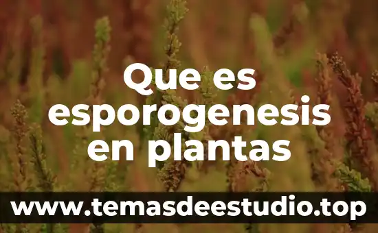 Que es el ciclo circadiano de las plantas 5 Que es esporogenesis en plantas