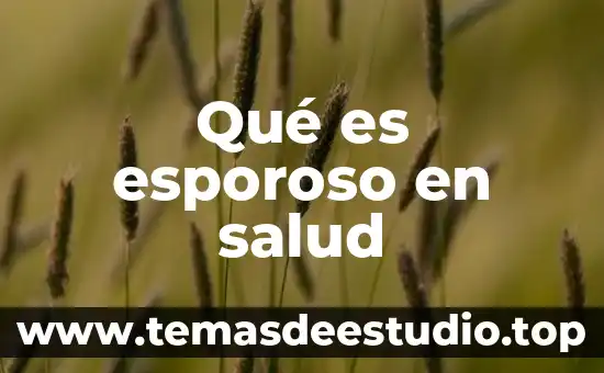 Que es un conflicto en salud mental 4 Qué es esporoso en salud