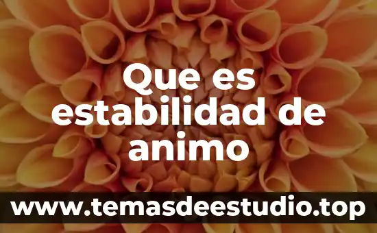 Ley de economía del conocimiento que es 4 Que es estabilidad de animo