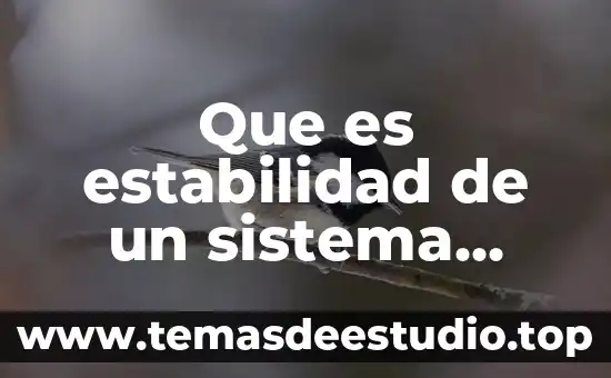 Que es estabilidad de un sistema operativo