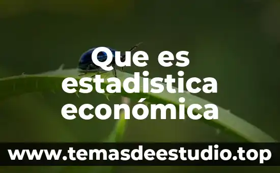 Que es estadistica económica