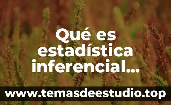 Conclusión personal sobre que es la estadística descriptiva 7 Qué es estadística inferencial descriptiva