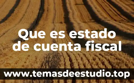 Que es estado de cuenta fiscal