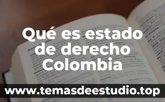 Qué es estado de derecho Colombia