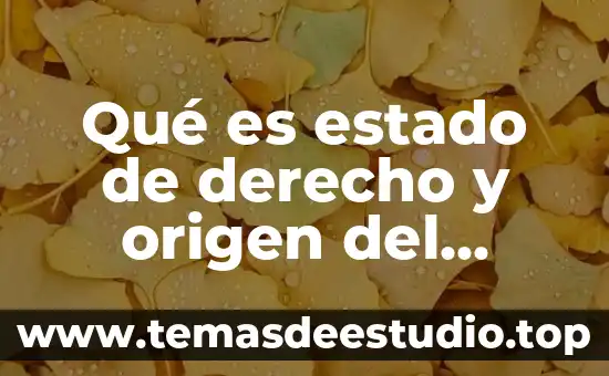 Qué es estado de derecho y origen del concepto