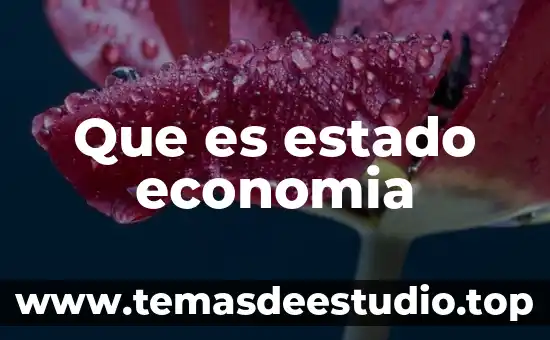 Que es estado economia
