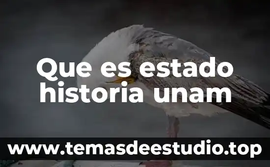 Que es estado historia unam