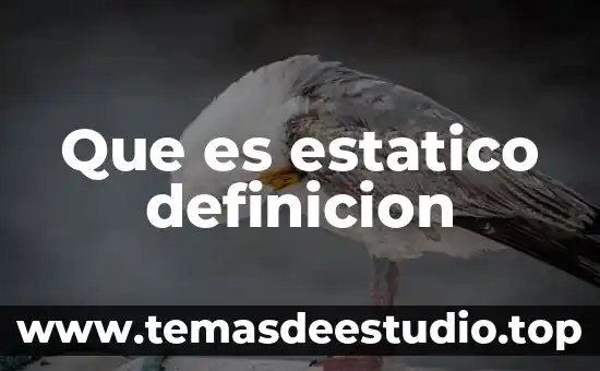 Que es estatico definicion