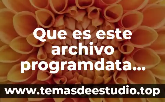 Qué es cambiar el nombre a una carpeta a archivo 7 Que es este archivo programdata avast software inspiron 1501.zip