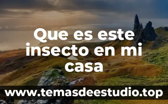 ¿Qué es el número de certificado de la fiel? 7 Que es este insecto en mi casa
