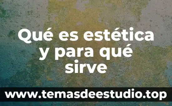 Que es la arquitectura gotica en lo economico 3 Qué es estética y para qué sirve