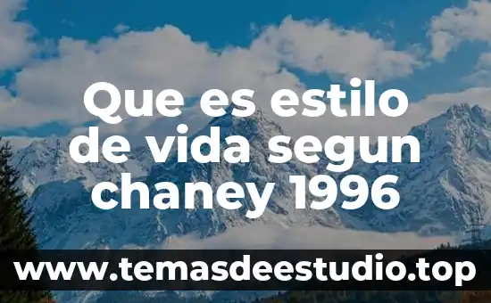 Qué es la sociedad en el registro mercantil 8 Que es estilo de vida segun chaney 1996