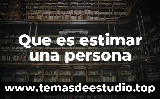 Que es una persona fisica y moral en una pymes 6 Que es estimar una persona