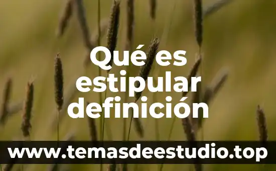 Definición que es un signo primario 6 Qué es estipular definición