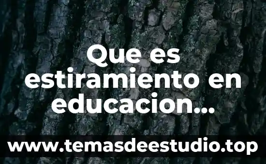 Que es estiramiento en educacion fisica ejemplos