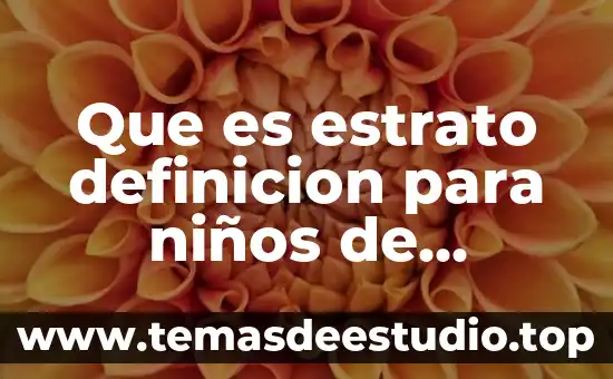 Que es estrato economico 5 Que es estrato definicion para niños de primaria