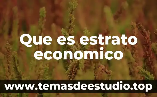 Que es estrato definicion para niños de primaria 4 Que es estrato economico