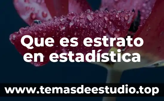 Que es estrato definicion para niños de primaria 5 Que es estrato en estadística