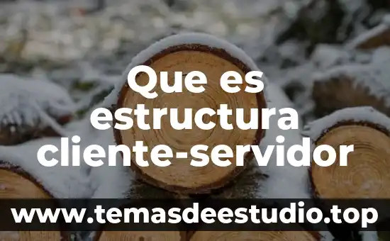 Qué es estructura en la historia 7 Que es estructura cliente-servidor