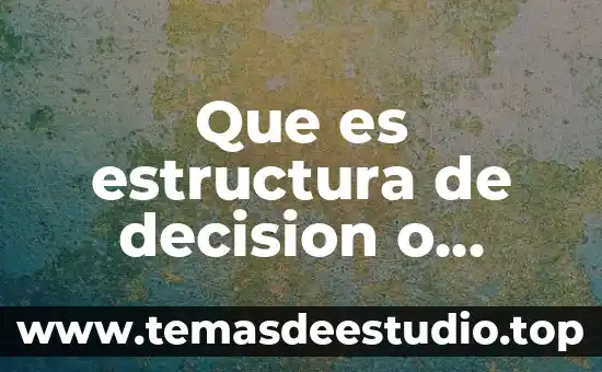 Que es estructura social dinamica 8 Que es estructura de decision o seleccion