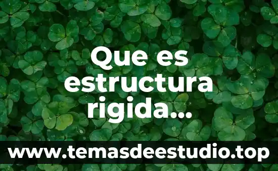 Que es la estructura psiquica 4 Que es estructura rigida inexistente
