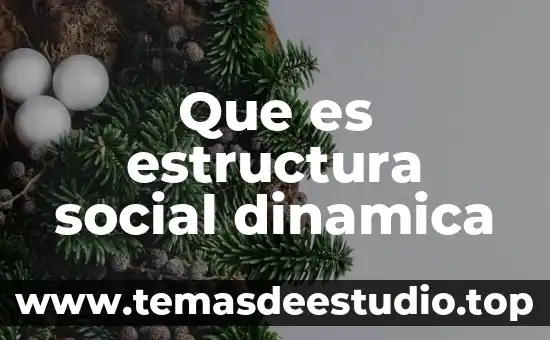 Qué es una estructura orgánica actividad fusuca 6 Que es estructura social dinamica