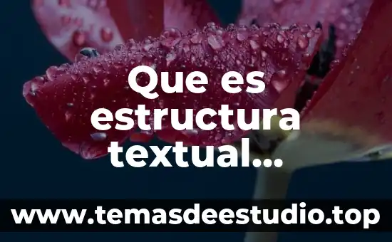 Qué es estructura en la historia 3 Que es estructura textual ejemplos