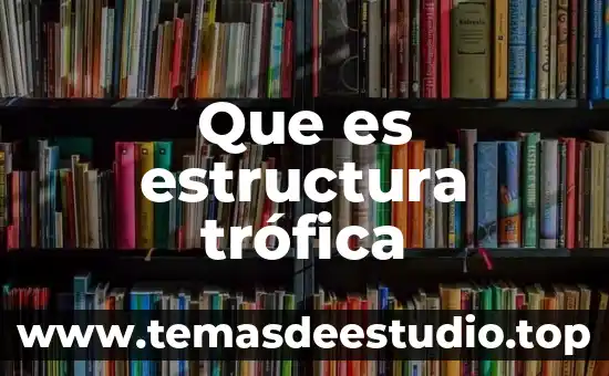 Que es estructura social dinamica 7 Que es estructura trófica