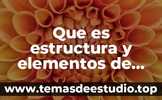 Que es estructura y elementos de un cuento