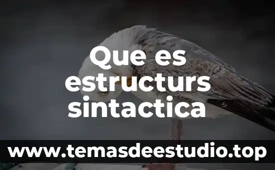 Que es cohesion sintactica ejempos 4 Que es estructurs sintactica