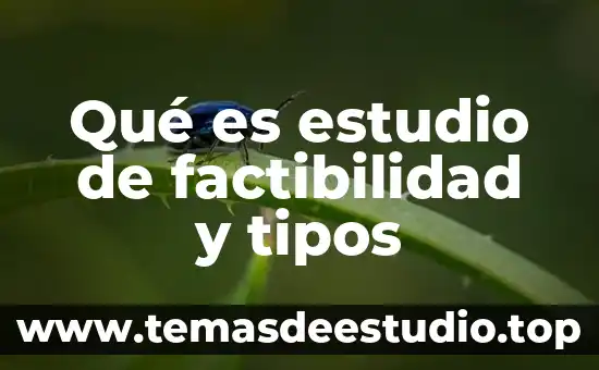 Qué es estudio de factibilidad y tipos