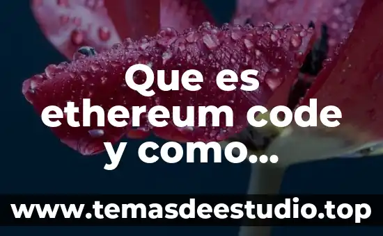 Que es la dieta keto y como funciona 5 Que es ethereum code y como funciona