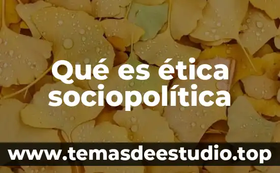 Qué es ética sociopolítica