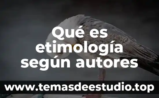Que es y para que sirve engagement segun autores 5 Qué es etimología según autores